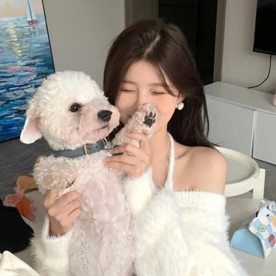 疯狂的兔子