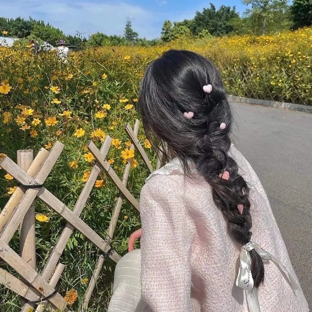 双龙会